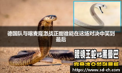德国队与喀麦隆激战正酣谁能在这场对决中笑到最后