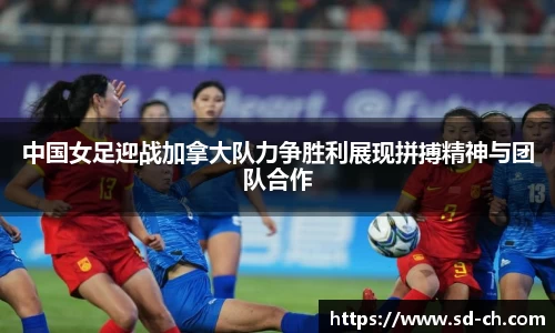 米兰体育官网